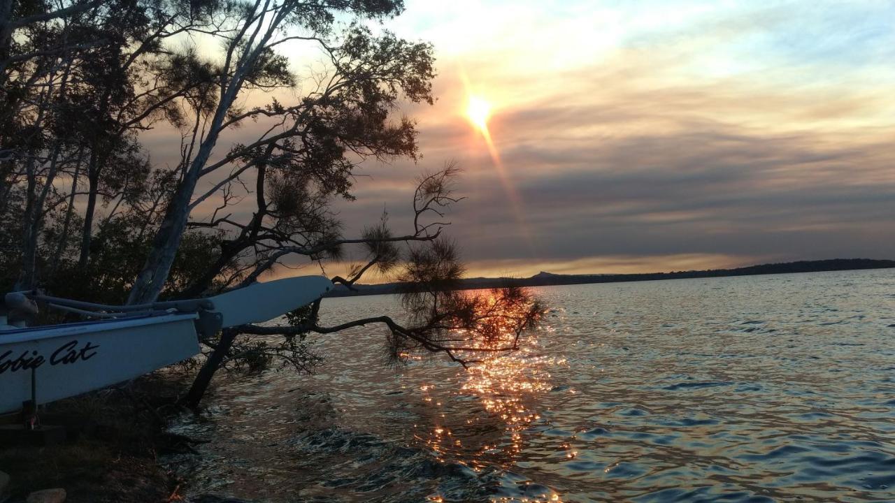 Lake Weyba Noosa Lodge & Kangaroos 佩里吉安比奇 外观 照片