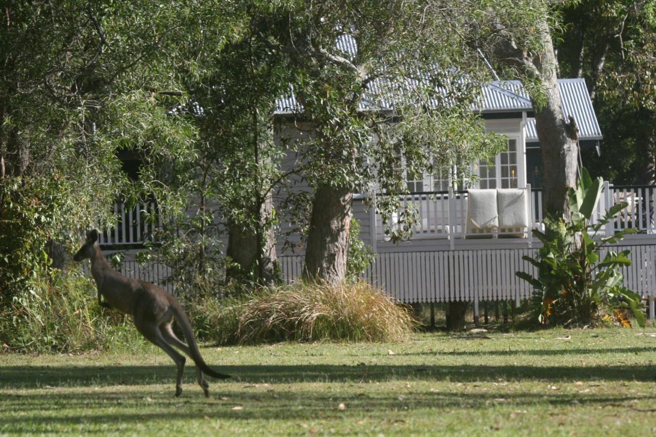 Lake Weyba Noosa Lodge & Kangaroos 佩里吉安比奇 外观 照片