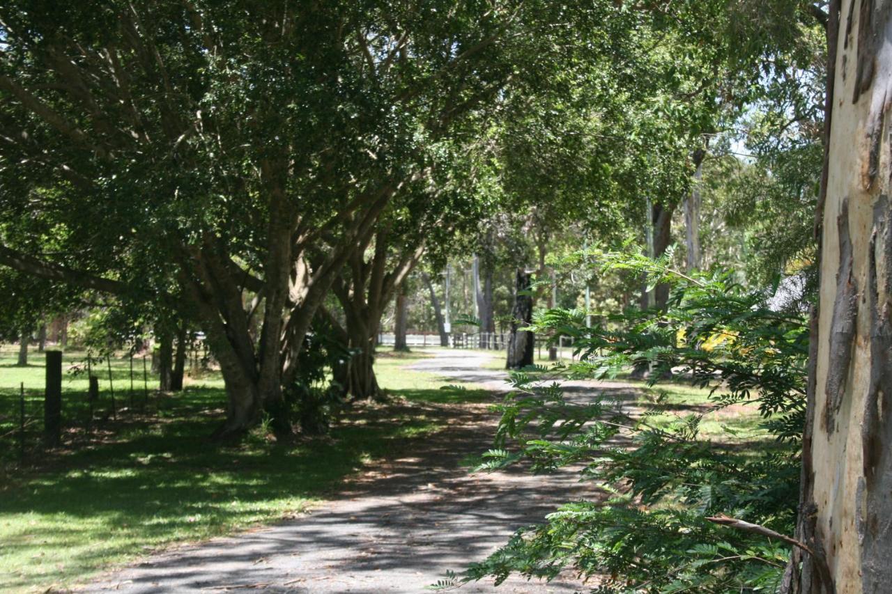 Lake Weyba Noosa Lodge & Kangaroos 佩里吉安比奇 外观 照片