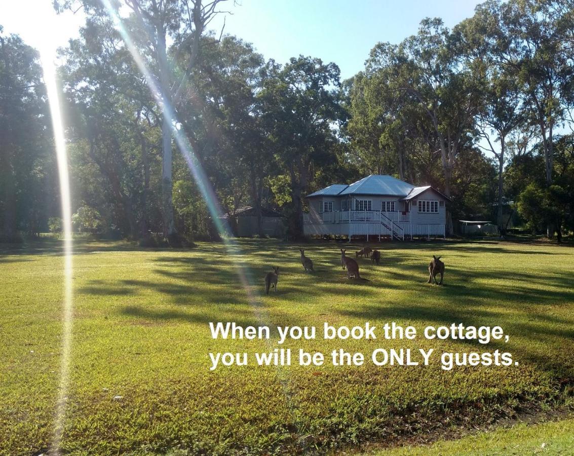 Lake Weyba Noosa Lodge & Kangaroos 佩里吉安比奇 外观 照片
