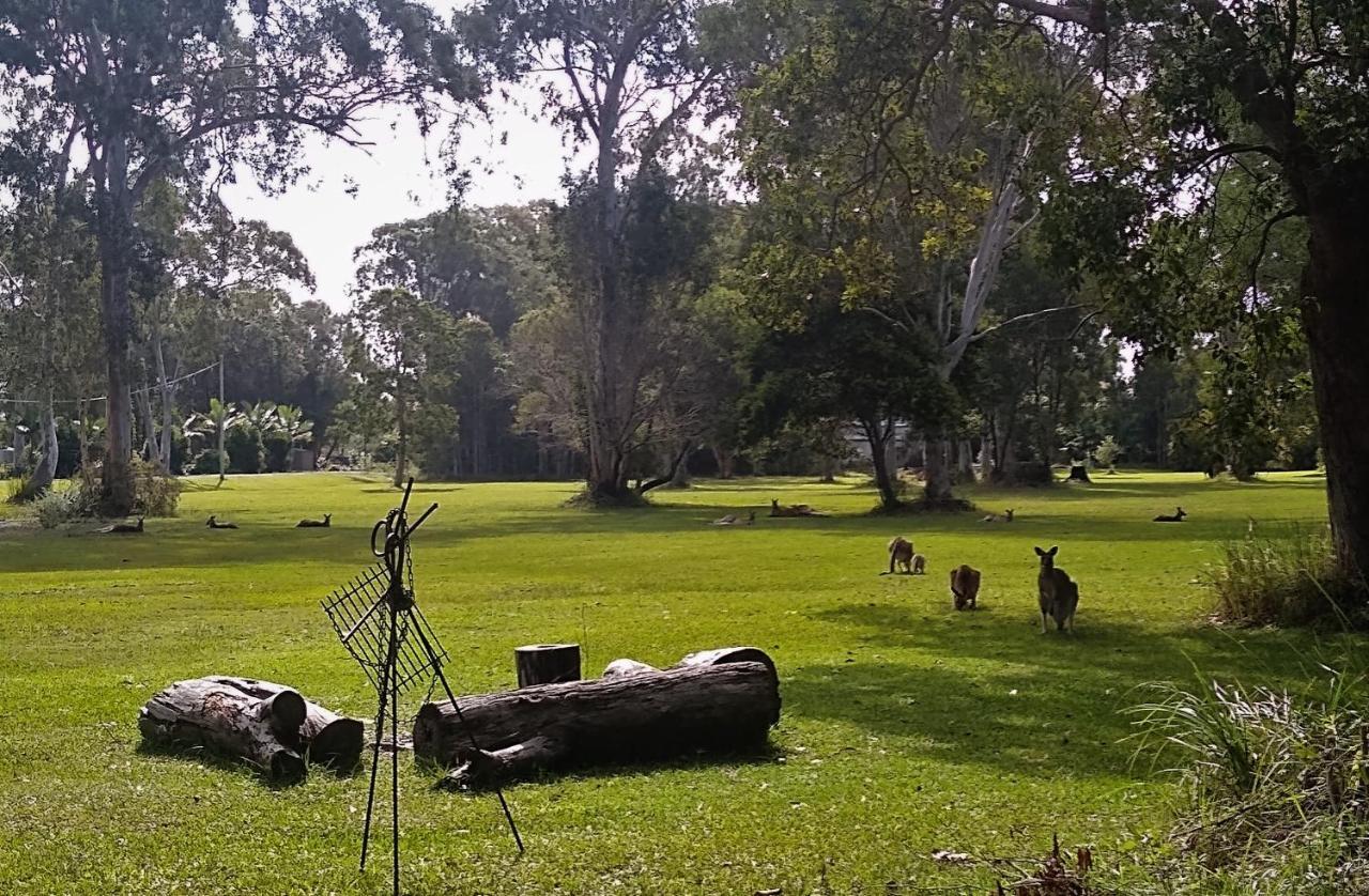 Lake Weyba Noosa Lodge & Kangaroos 佩里吉安比奇 外观 照片