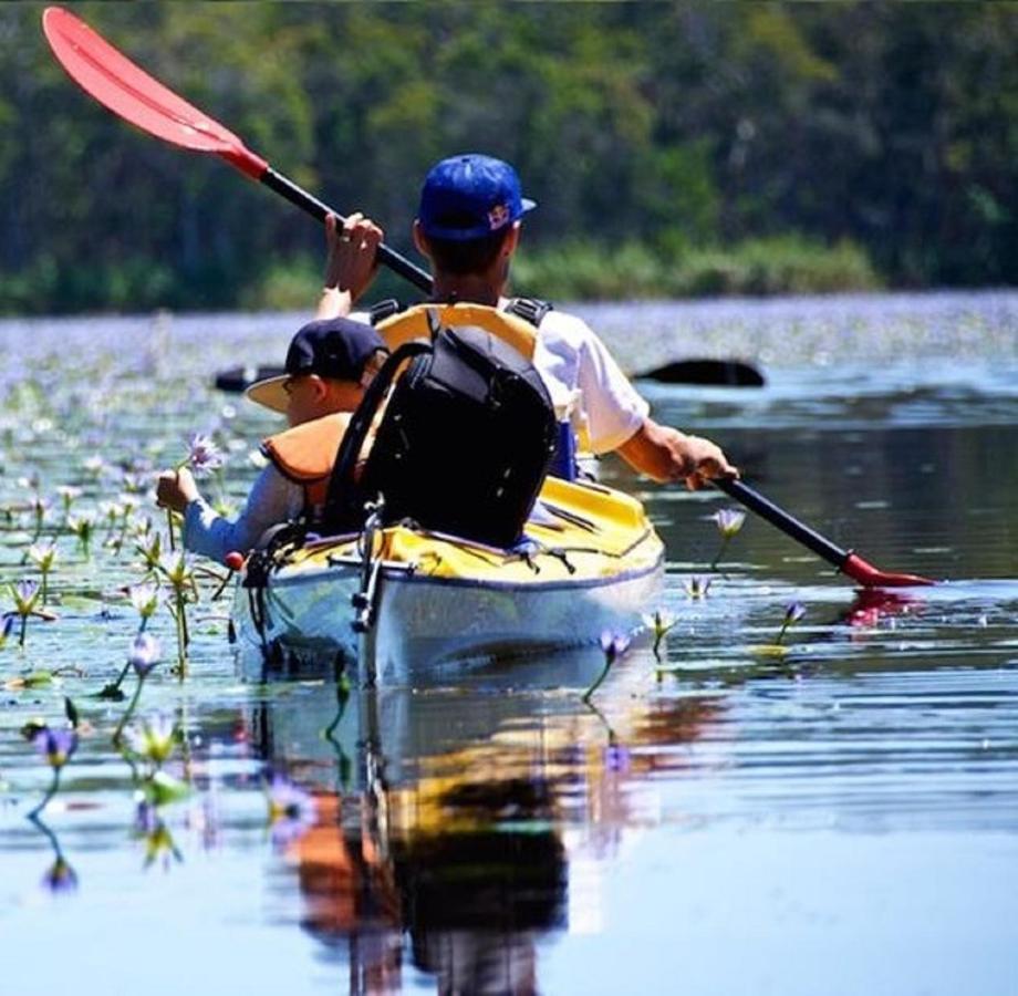 Lake Weyba Noosa Lodge & Kangaroos 佩里吉安比奇 外观 照片
