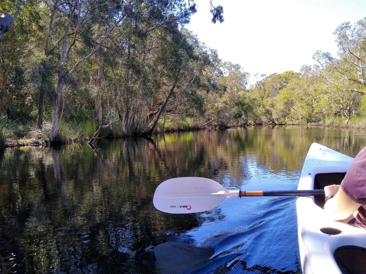 Lake Weyba Noosa Lodge & Kangaroos 佩里吉安比奇 外观 照片