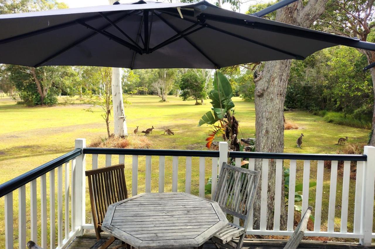 Lake Weyba Noosa Lodge & Kangaroos 佩里吉安比奇 外观 照片