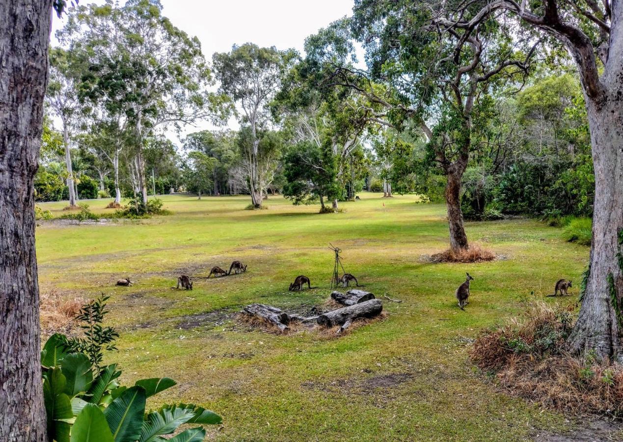 Lake Weyba Noosa Lodge & Kangaroos 佩里吉安比奇 外观 照片