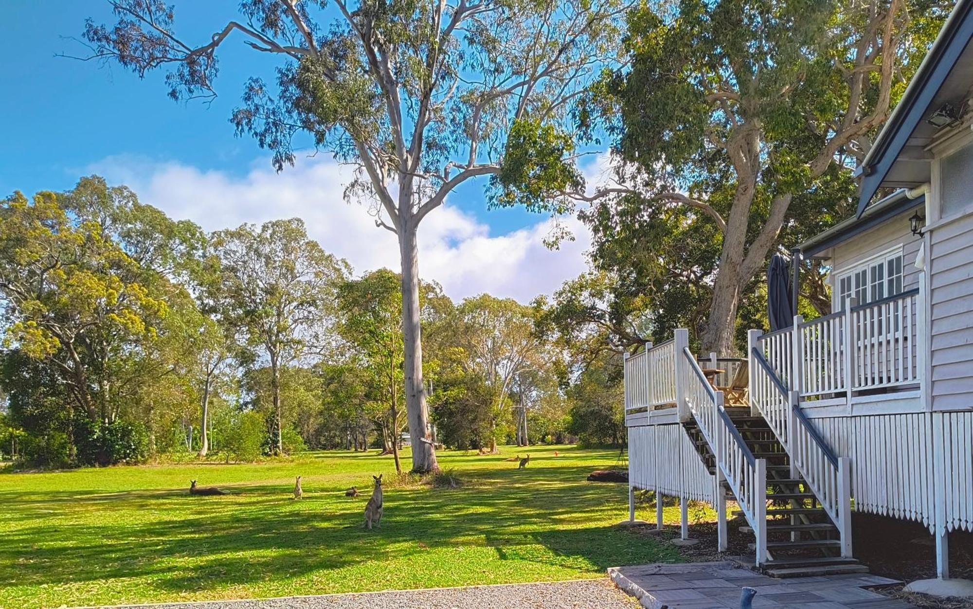 Lake Weyba Noosa Lodge & Kangaroos 佩里吉安比奇 外观 照片